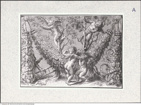 Vorderseite von bh481803_recto