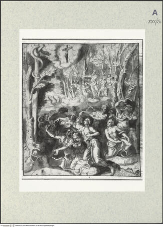 Vorderseite von bh481824_recto