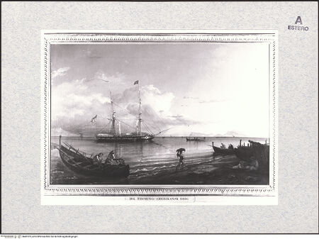 Vorderseite von bh481875_recto