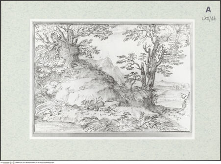 Vorderseite von bh481924_recto