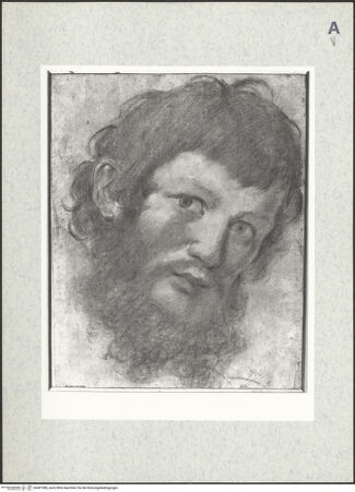 Vorderseite von bh481988_recto