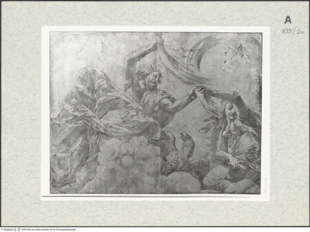 Vorderseite von bh481996_recto