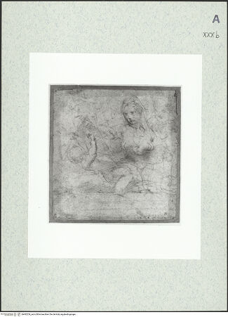 Vorderseite von bh482256_recto