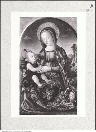 Vorderseite von bh482351_recto