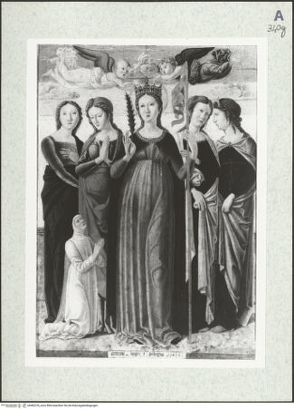 Vorderseite von bh482378_recto