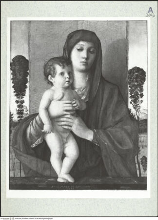 Vorderseite von bh482395_recto