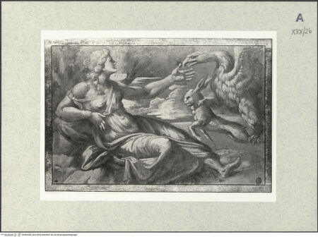 Vorderseite von bh482438_recto