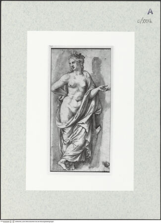 Vorderseite von bh482442_recto