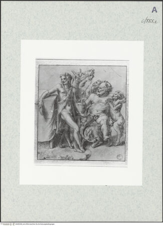 Vorderseite von bh482448_recto