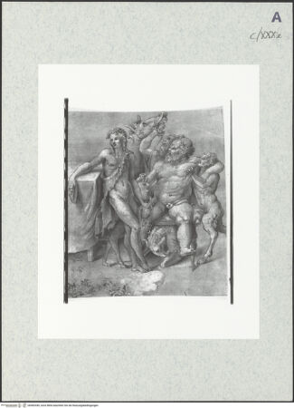 Vorderseite von bh482449_recto