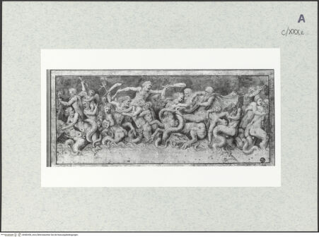 Vorderseite von bh482450_recto