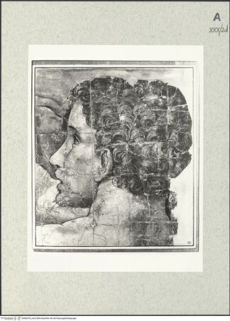 Vorderseite von bh482470_recto