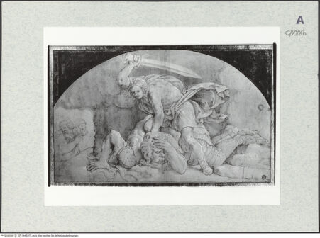 Vorderseite von bh482475_recto