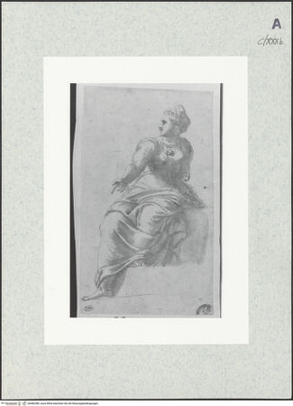 Vorderseite von bh482480_recto