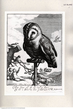 Vorderseite von Istituto Nazionale per la Grafica [http://creativecommons.org/publicdomain/mark/1.0/] Eine Eule als Lockvogel an einen Holzpflock gebunden - , bh482576. Foto.