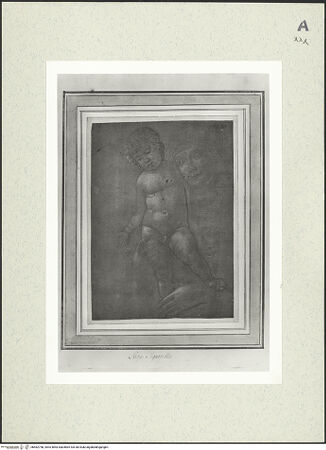 Vorderseite von bh482758_recto