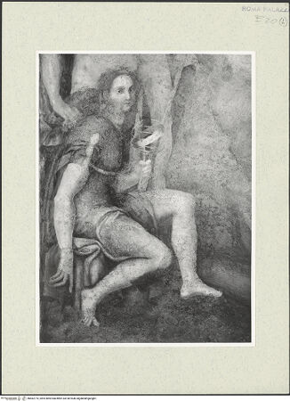 Vorderseite von bh482774_recto