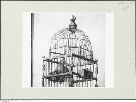 Vorderseite von bh482782_recto