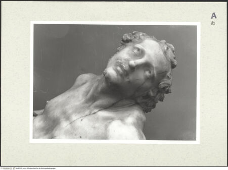 Vorderseite von bh482920_recto