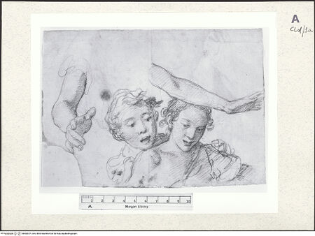 Vorderseite von bh483057_recto