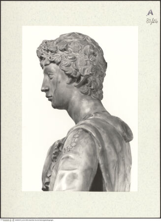 Vorderseite von unbekannt [https://www.deutsche-digitale-bibliothek.de/content/lizenzen/rv-fz/] David - Ausschnitt als Brustbild im Linksprofil, bh483078_recto. Foto.