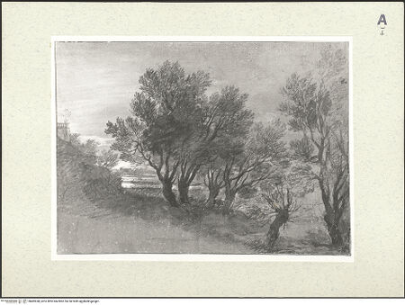 Vorderseite von bh483248_recto