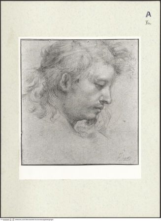 Vorderseite von bh483254_recto