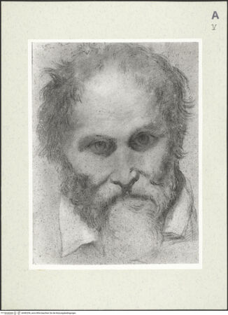 Vorderseite von bh483256_recto