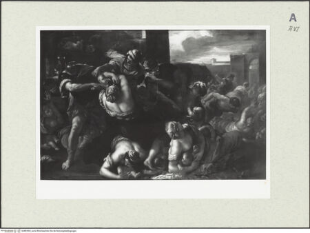 Vorderseite von bh483362_recto