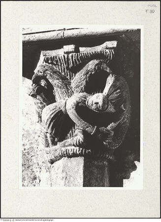 Vorderseite von Sigismondi, Roberto [http://creativecommons.org/licenses/by-nc-sa/4.0/] Kapitelle der LoggiaKampf: Mann gegen Tiere (Kemper: CL4) - Frontalansicht, bh483409_recto. Foto: Sigismondi, Roberto.