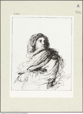 Vorderseite von bh483595_recto