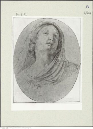 Vorderseite von bh483596_recto