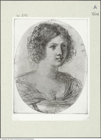 Vorderseite von bh483597_recto