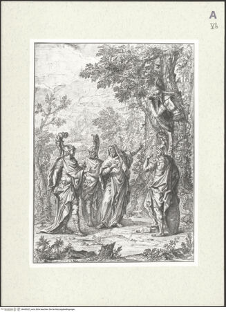 Vorderseite von bh483625_recto