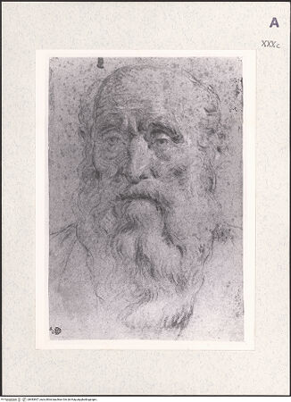 Vorderseite von bh483907_recto