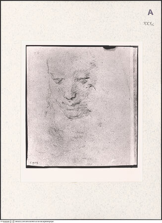 Vorderseite von bh483923_recto