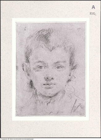 Vorderseite von bh483924_recto