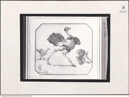 Vorderseite von bh483935_recto