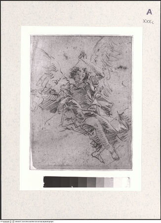 Vorderseite von bh483937_recto