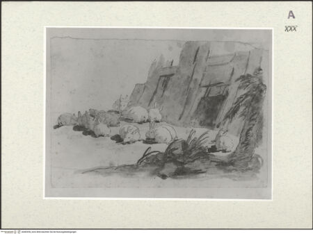 Vorderseite von bh483956_recto