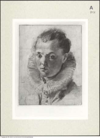 Vorderseite von bh483970_recto