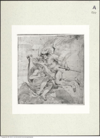 Vorderseite von bh484167_recto