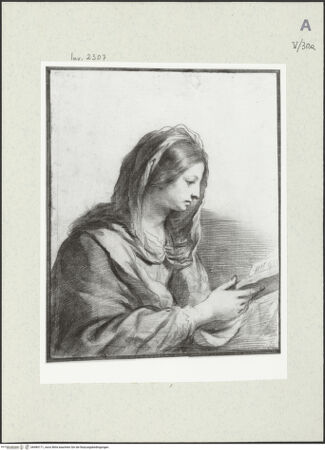 Vorderseite von bh484171_recto