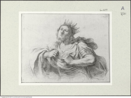 Vorderseite von bh484174_recto