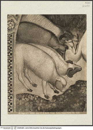 Vorderseite von bh484481_recto