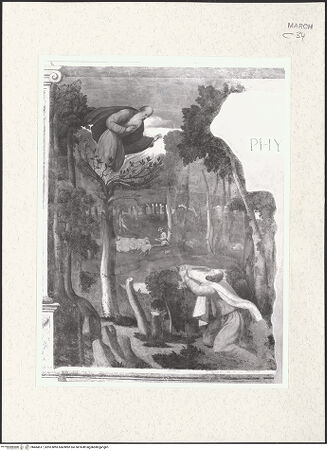 Vorderseite von bh484517_recto