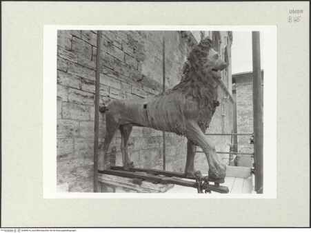 Vorderseite von bh484614_recto