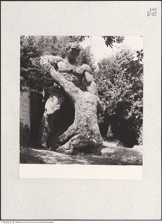 Vorderseite von bh484623_recto