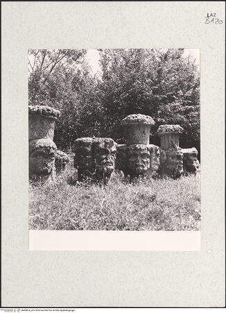 Vorderseite von bh484624_recto