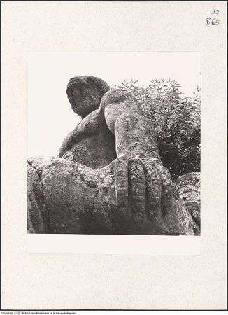 Vorderseite von bh484626_recto